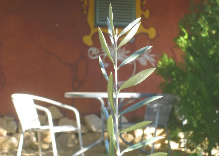 Apartamentos Rurales Candela