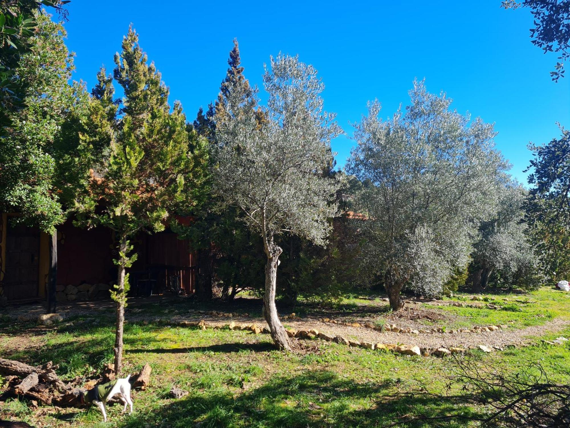 Appartement Rurales Candela Cañamero