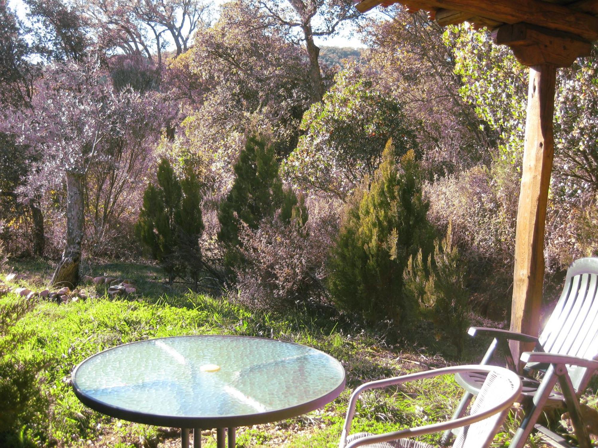 Rurales Candela Apartment *