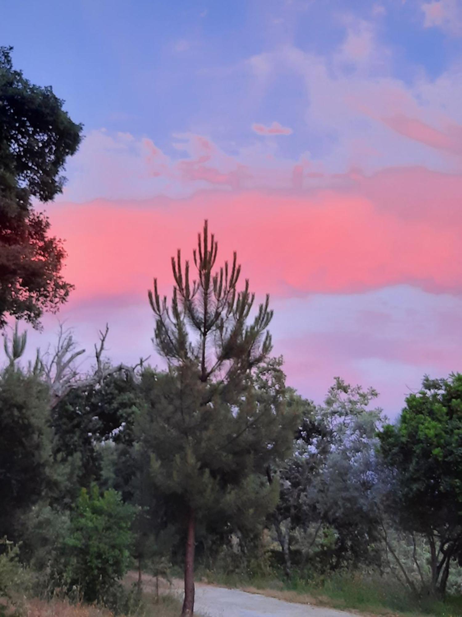 Rurales Candela