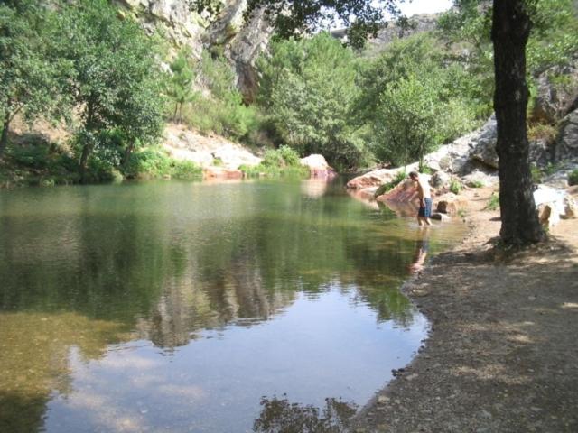 Rurales Candela